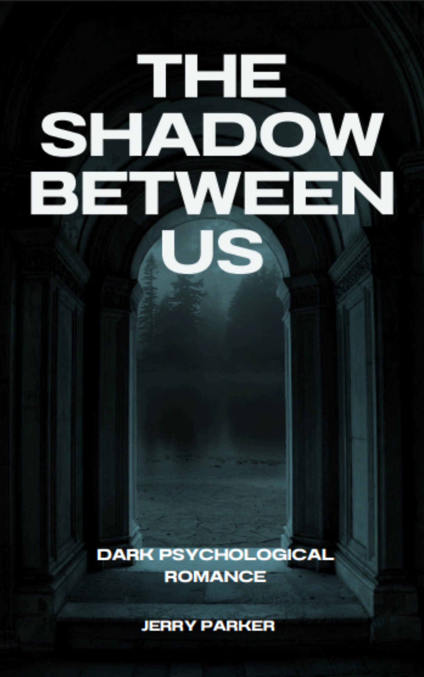 The Shadow Between Us: A Dark Romance Novel