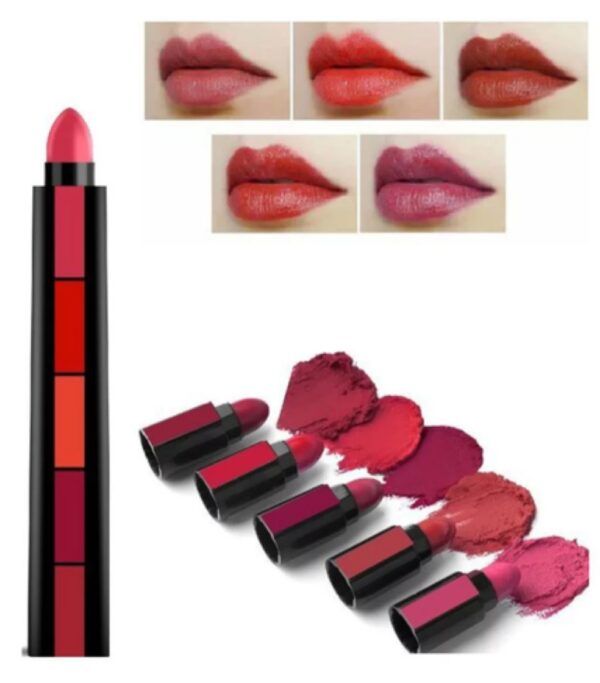 5-in-1 matte lipstick set showing all shades - red brown nude pink maroon